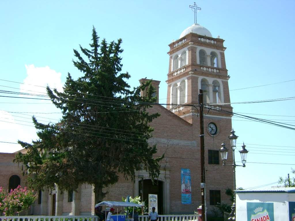 parroquia santa cruz rosales